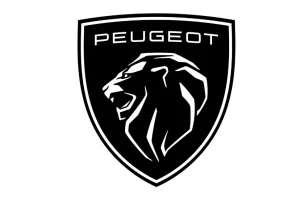 اهمیت سیم کشی صحیح چراغ جلو و فن در خودرو 405-پارس 2 2021 2 new 2021 peugeot logo 2 638bb3bb1d67bb742b2270ee